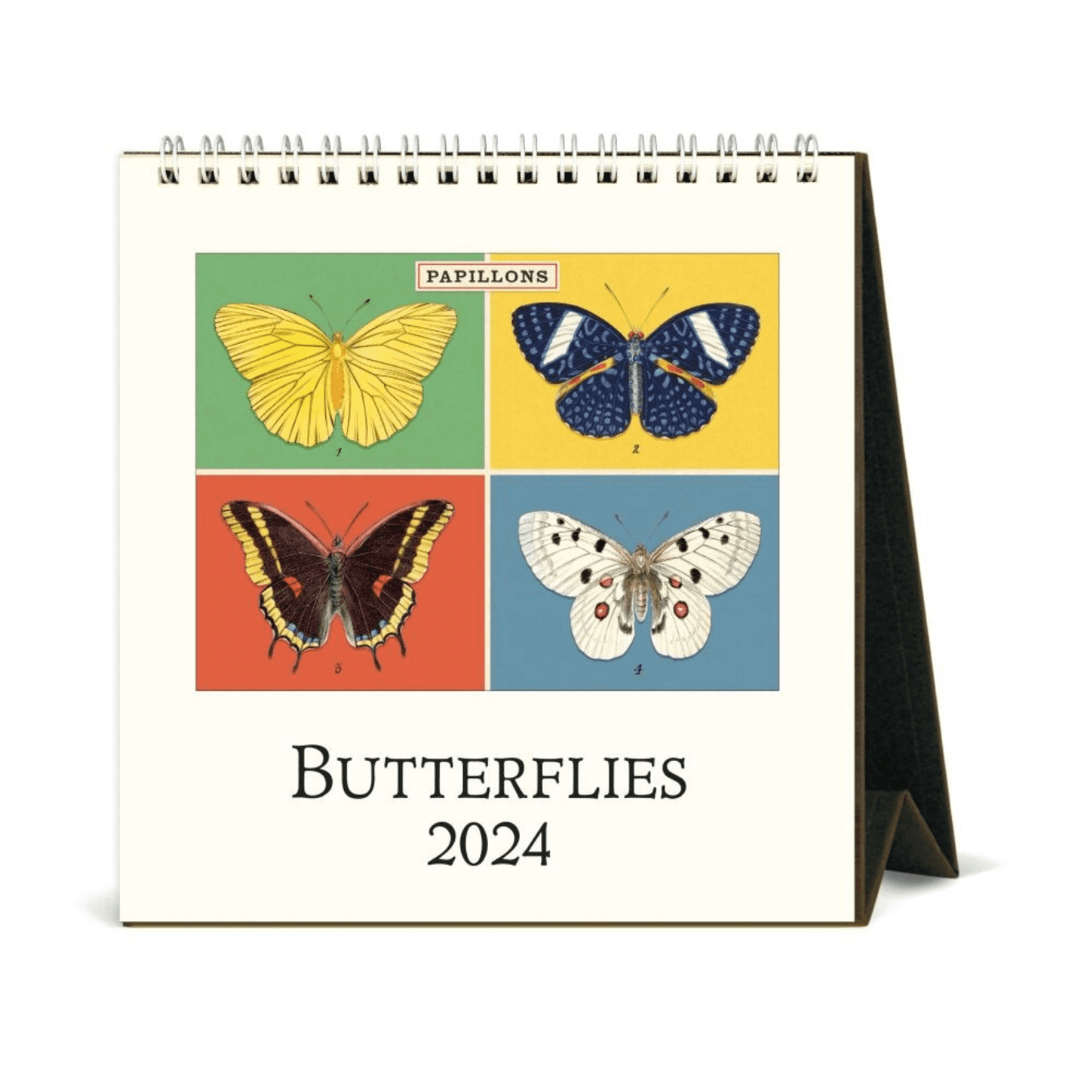 2024 Butterflies Desk Calendar Typo Market