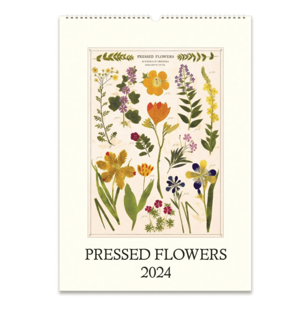 2024 Pressed Flowers Wall Calendar Typo Market